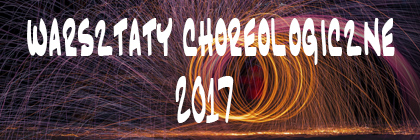 Warsztaty choreologiczne 2007